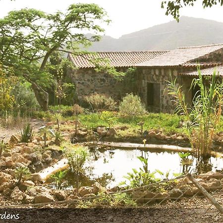 Live Finca San Miguel Сан Мигель Экстерьер фото