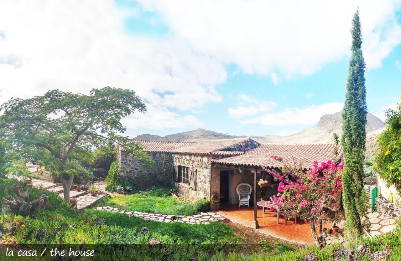 Live Finca San Miguel Сан Мигель Экстерьер фото